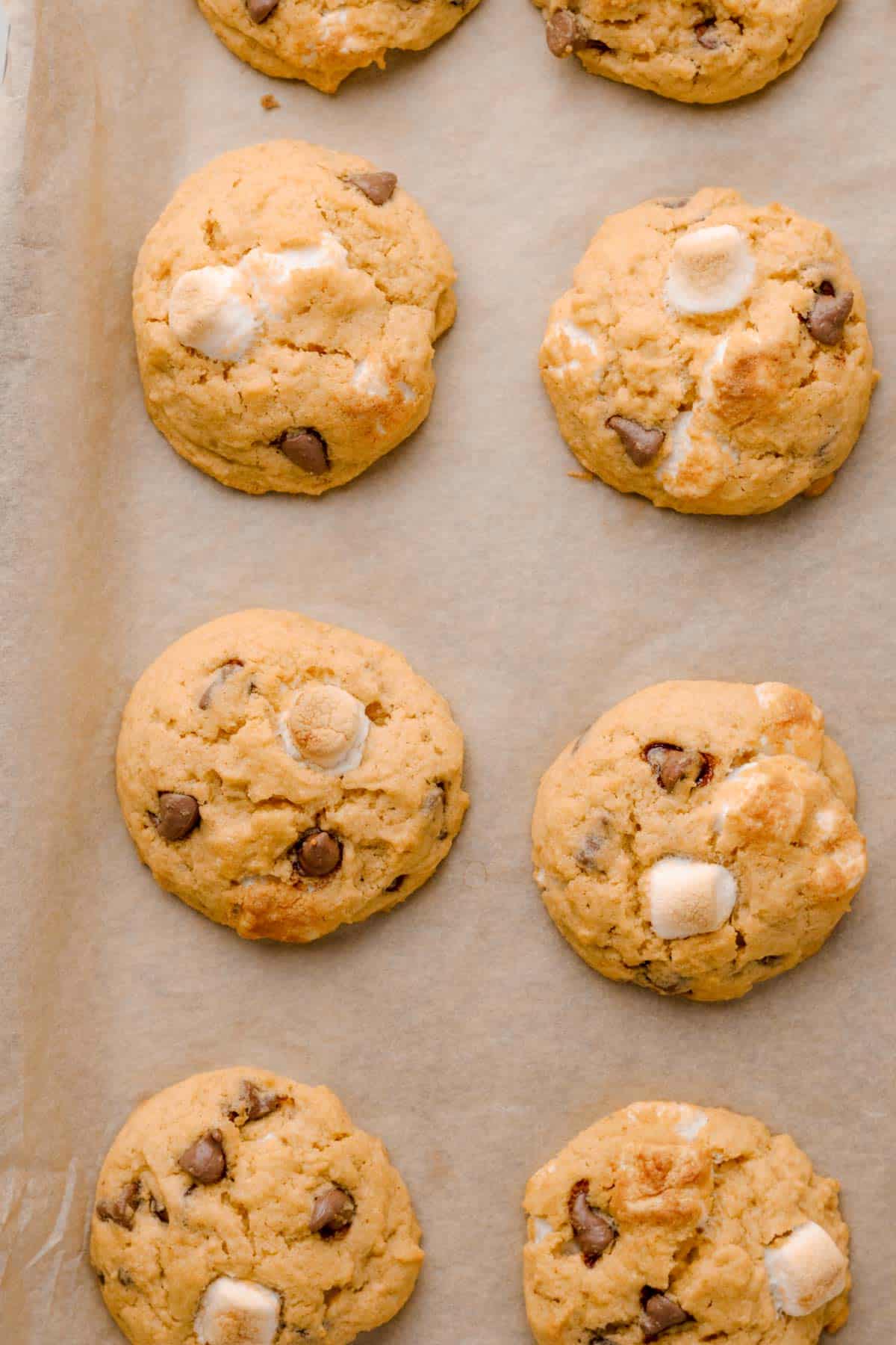 pumpkin smores cookies with chocolate chips.