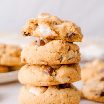 Soft and chewy pumpkin smores cookies with chocolate chips.