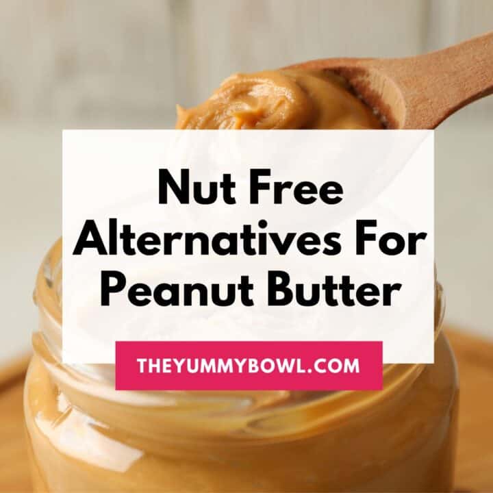nut free peanut butter alternatives.