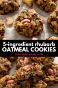 rhubarb chocolate oatmeal cookies