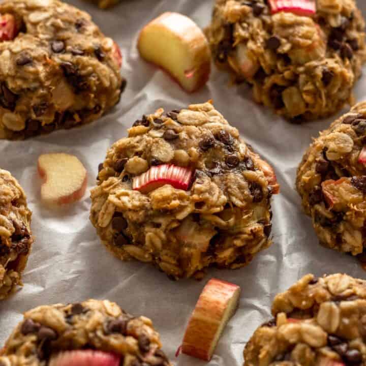 chocolate chip oatmeal cookies with rhubarb