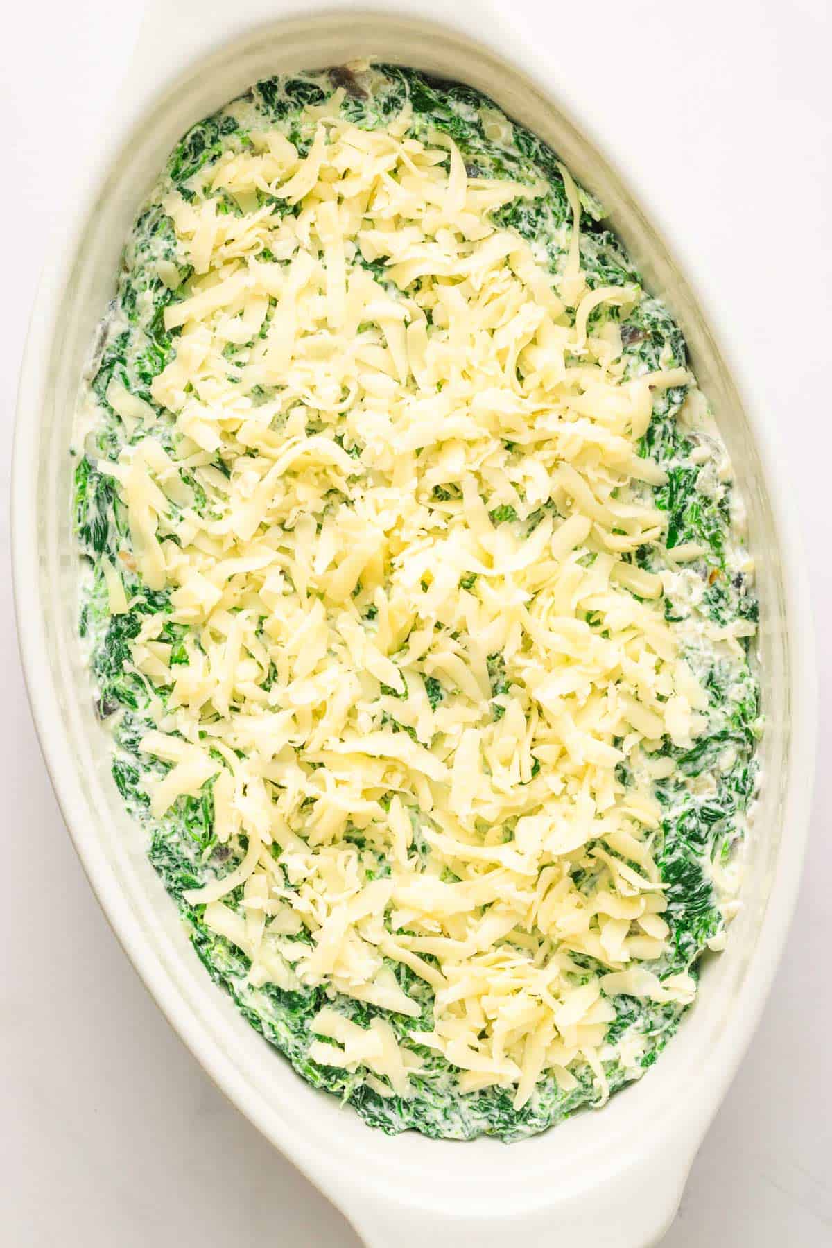 Spinach Gratin in a baking dish.