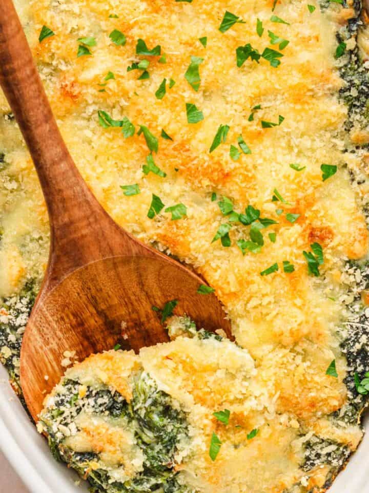 Freshly baked Spinach Gratin with cheesy topping.