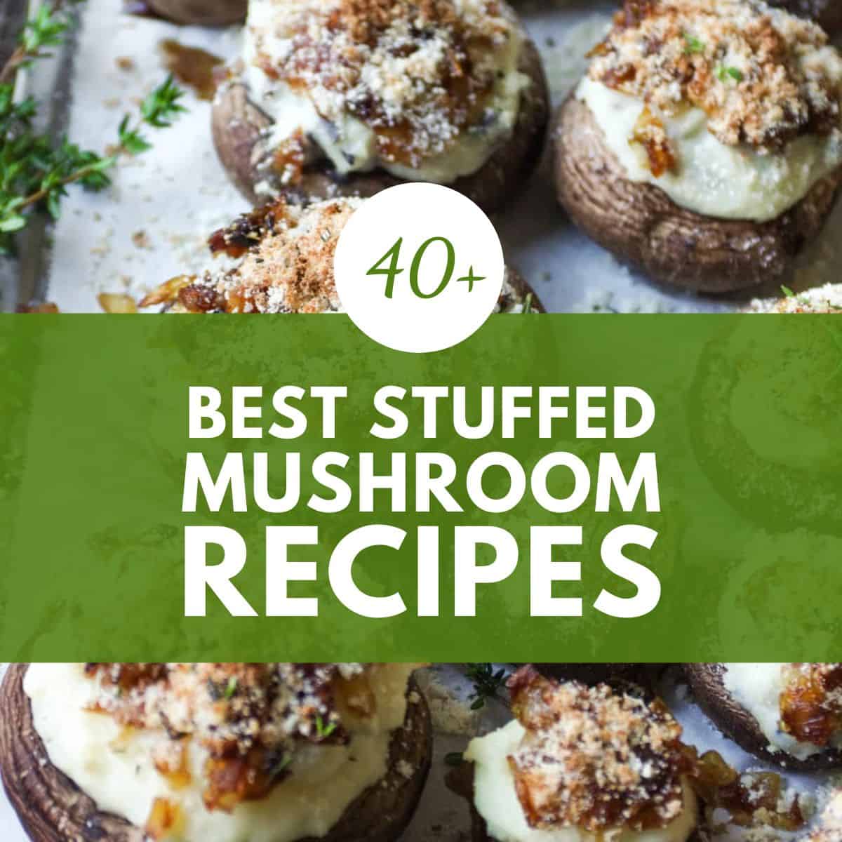 41 THE BEST Stuffed Mushroom Recipes