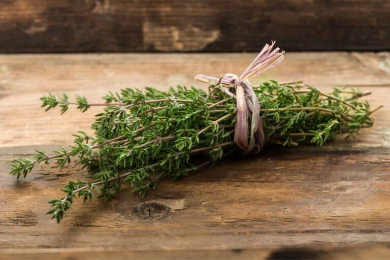 15 Best Substitutes For Capers (And How To Use Them) - The Yummy Bowl