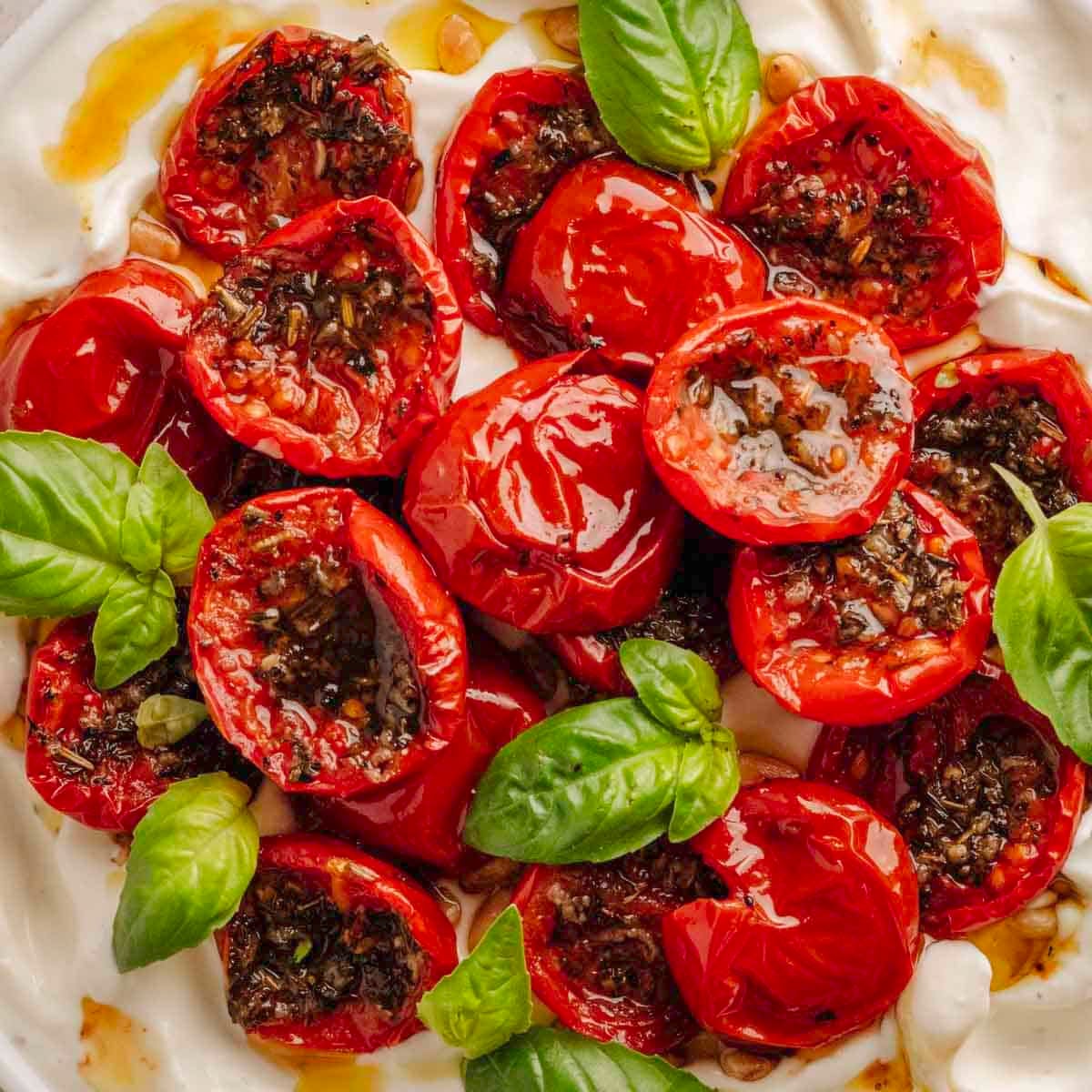 Roasted Tomato Confit on top of whipped ricotta.