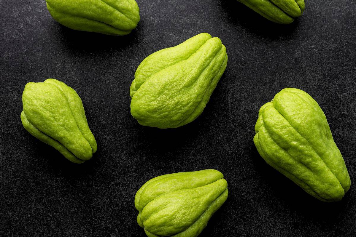 Chayote squash is a type of summer squash.