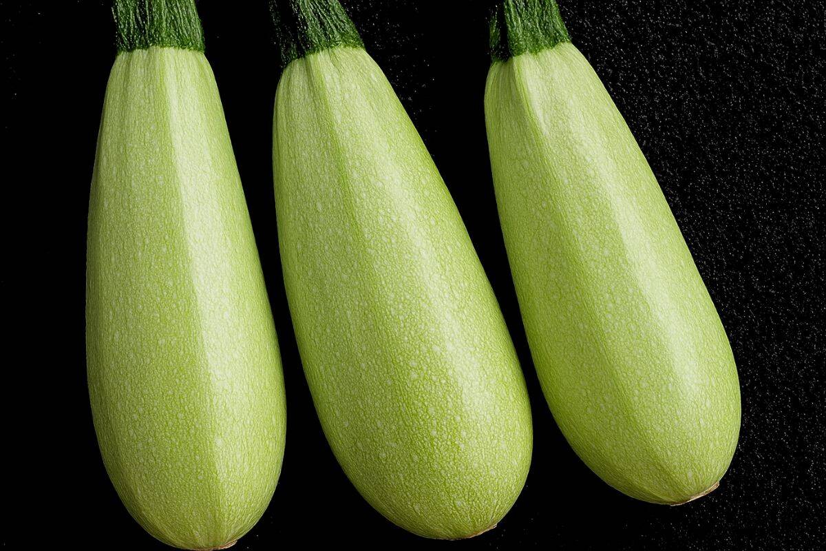 Cousa squash is a type of summer squash.