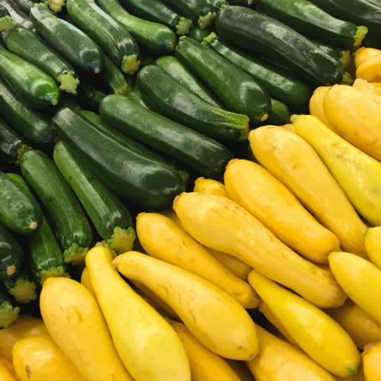 types of squash.