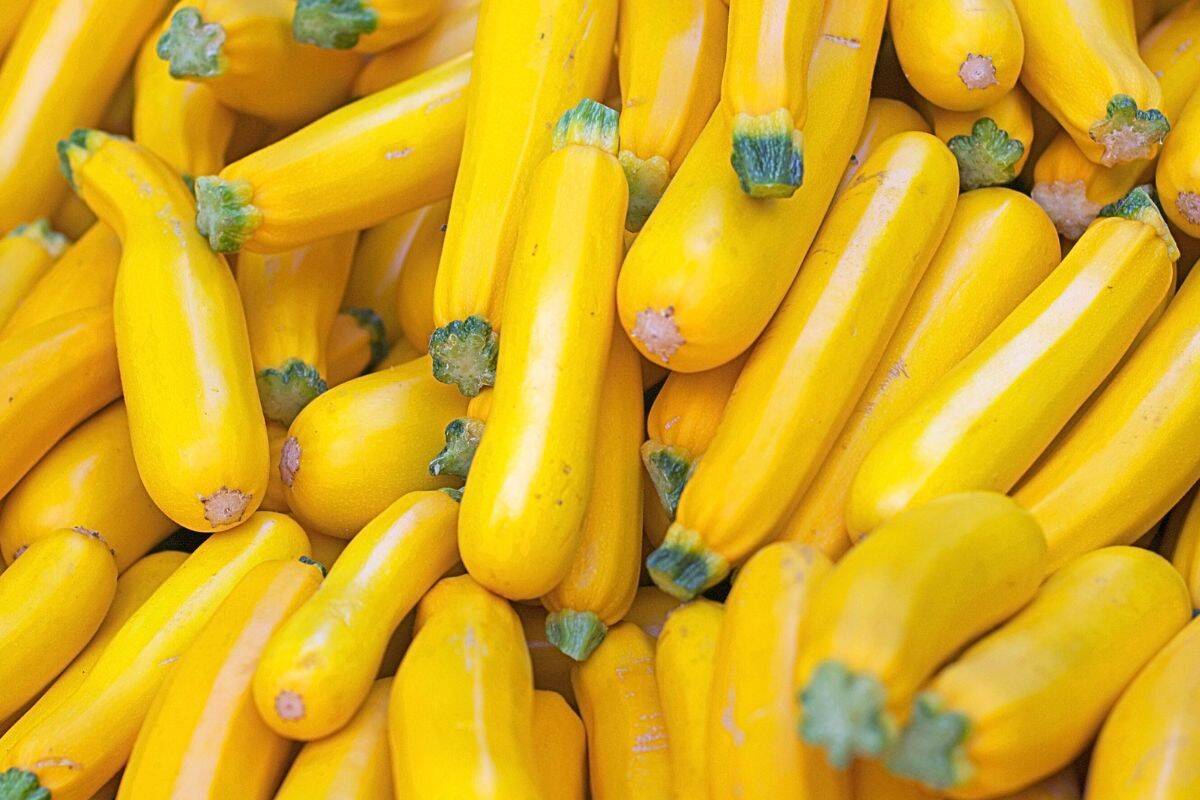 Yellow squash is a type of summer squash.