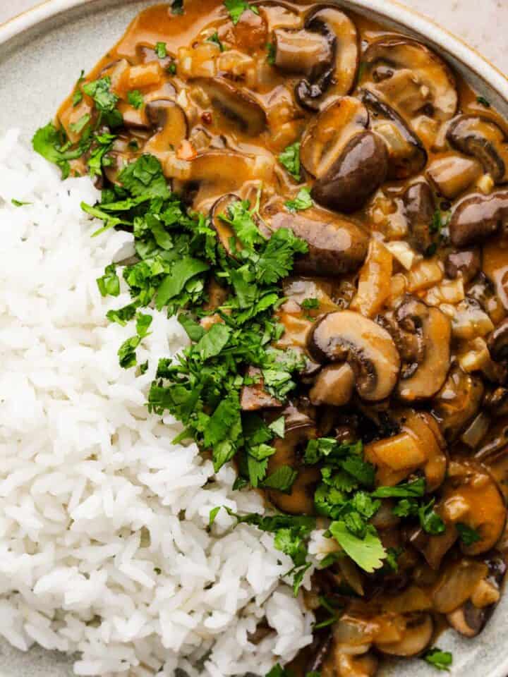 mushroom stroganoff sauce with rice.