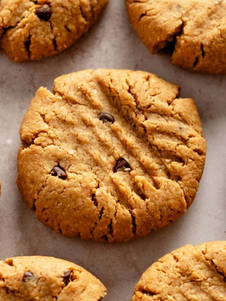 several peanut butter chocolate chip cookies.